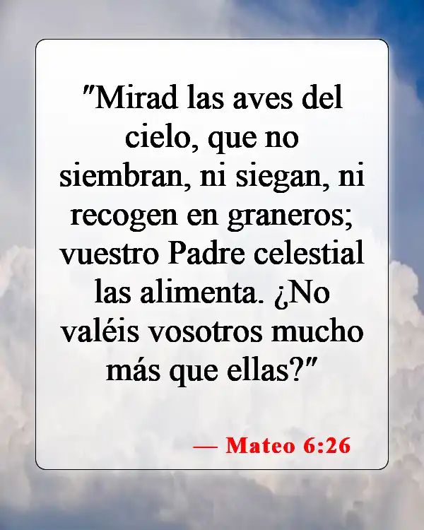 Versículos de la Biblia sobre el Padre en el Cielo (Mateo 6:26)