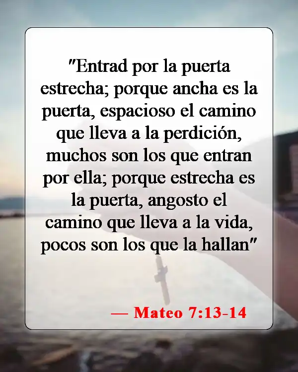 Versículos de la Biblia sobre cómo llegar al cielo (Mateo 7:13-14)