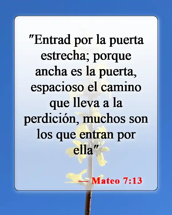 Versículos de la Biblia sobre el cielo y el infierno (Mateo 7:13)