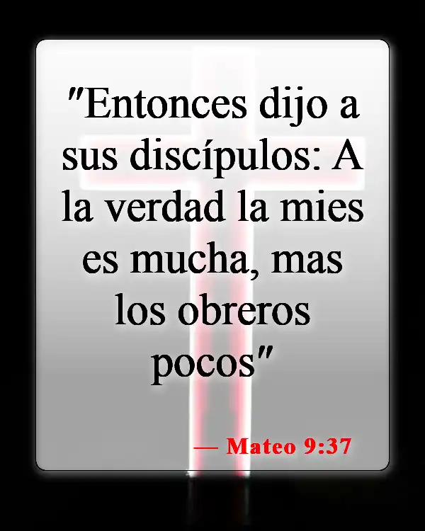 Versículos de la Biblia sobre el trabajo del hombre (Mateo 9:37)