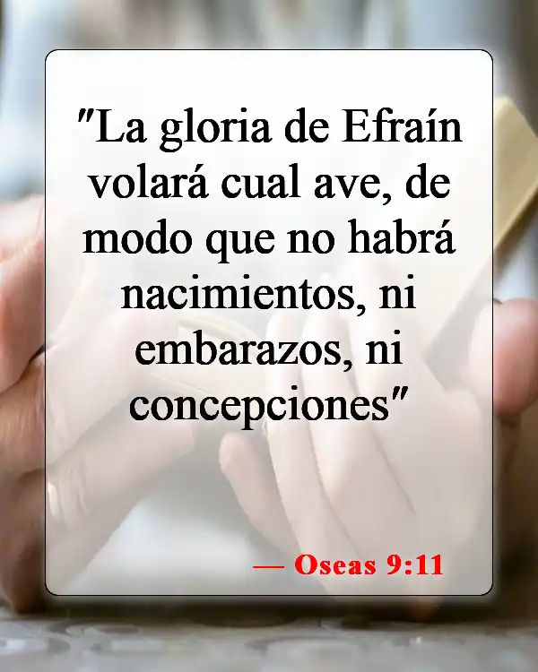 Versículos de la Biblia sobre bebés (Oseas 9:11)