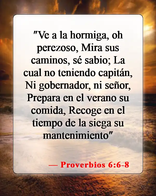 Versículos de la Biblia sobre problemas financieros (Proverbios 6:6-8)