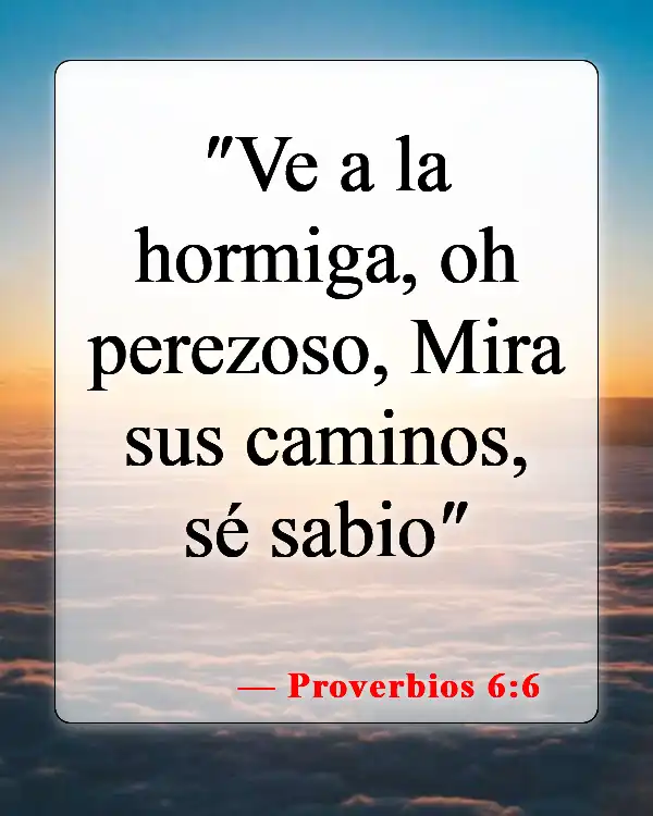 Versículos de la Biblia sobre las hormigas (Proverbios 6:6)