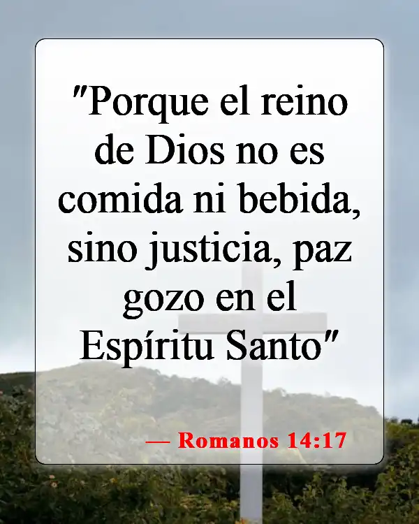 Versículos de la Biblia sobre disfrutar la vida (Romanos 14:17)