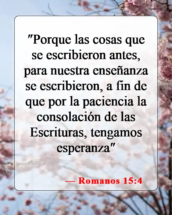 Versículos de la Biblia sobre las malas noticias (Romanos 15:4)