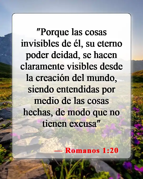 Versículos de la Biblia sobre la imagen de Dios (Romanos 1:20)
