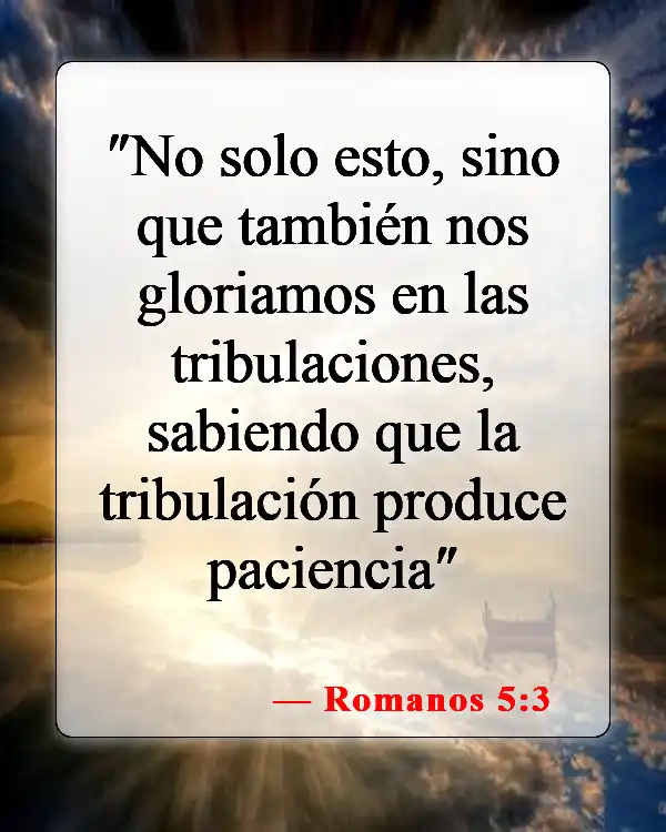 Versículos bíblicos sobre el maltrato (Romanos 5:3)
