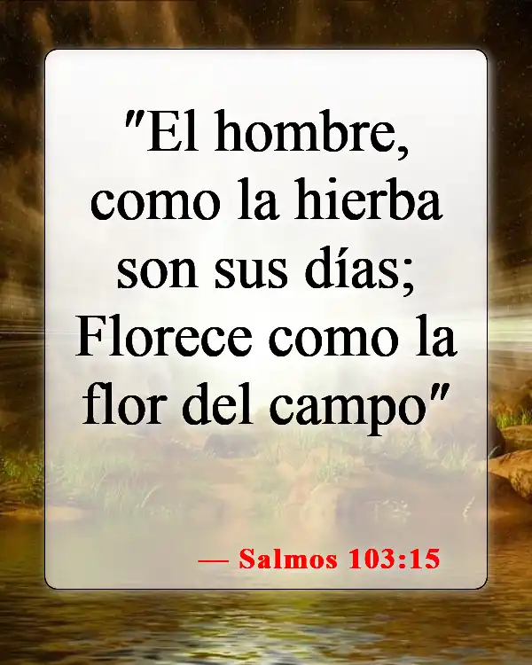 Versículos bíblicos sobre el hombre (Salmos 103:15)