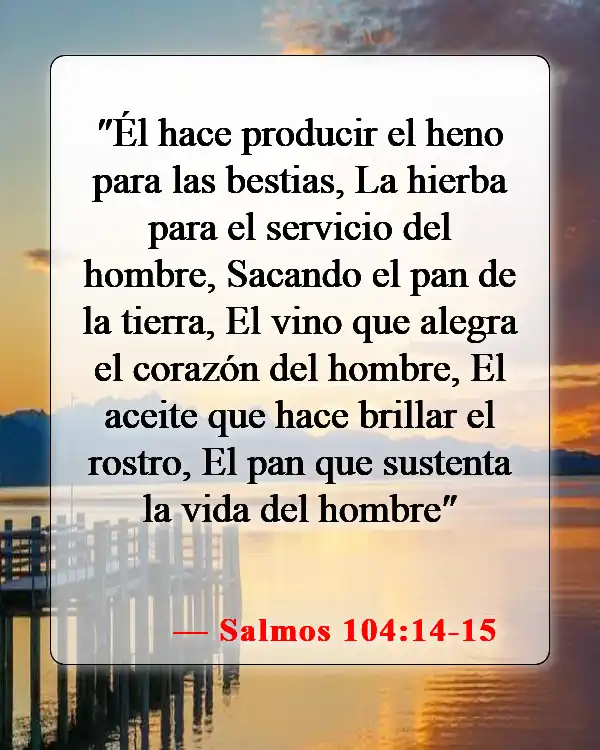 Versículos de la Biblia sobre bendecir los alimentos (Salmos 104:14-15)