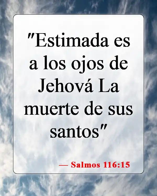 Versículos bíblicos sobre los bebés que van al cielo (Salmos 116:15)