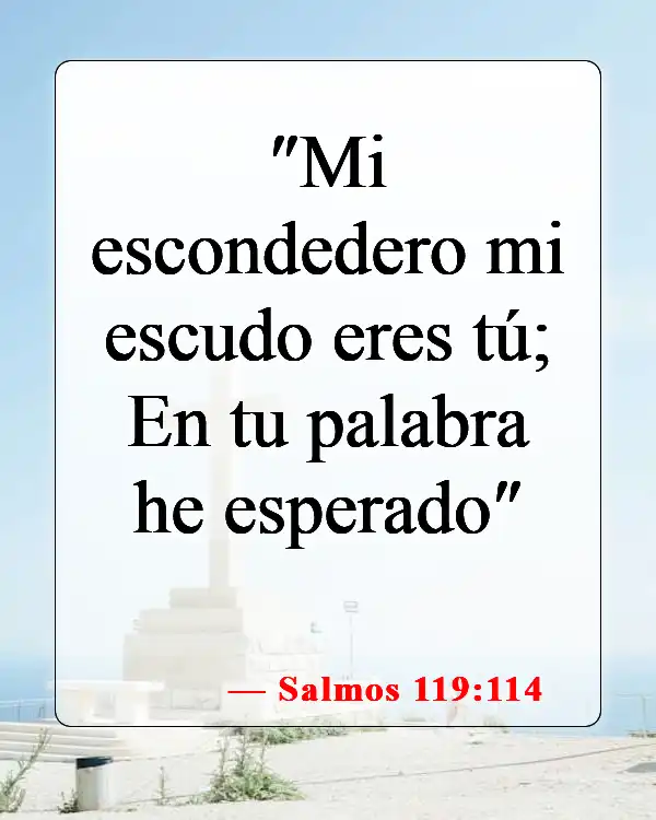 Versículos bíblicos sobre encontrar esperanza (Salmos 119:114)