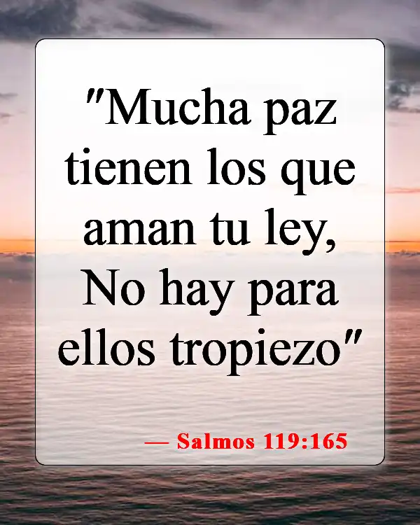 Versículos de la Biblia sobre la mala suerte (Salmos 119:165)