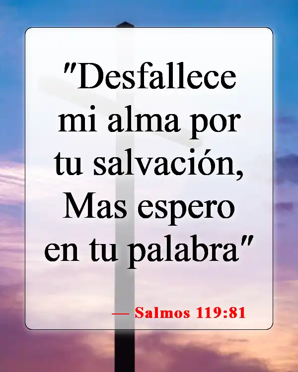 Versículos bíblicos sobre encontrar esperanza (Salmos 119:81)