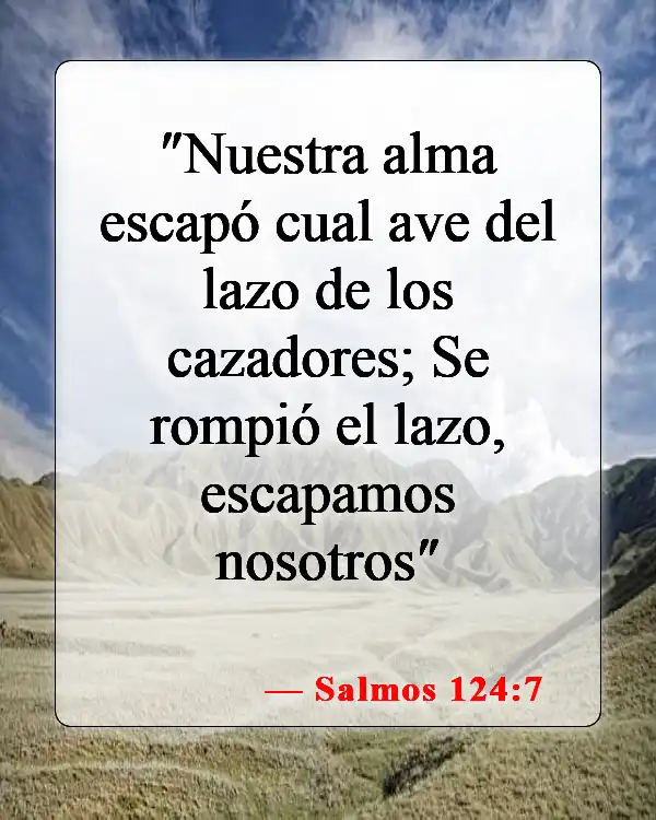 Versículos de la Biblia sobre la liberación de los enemigos (Salmos 124:7)