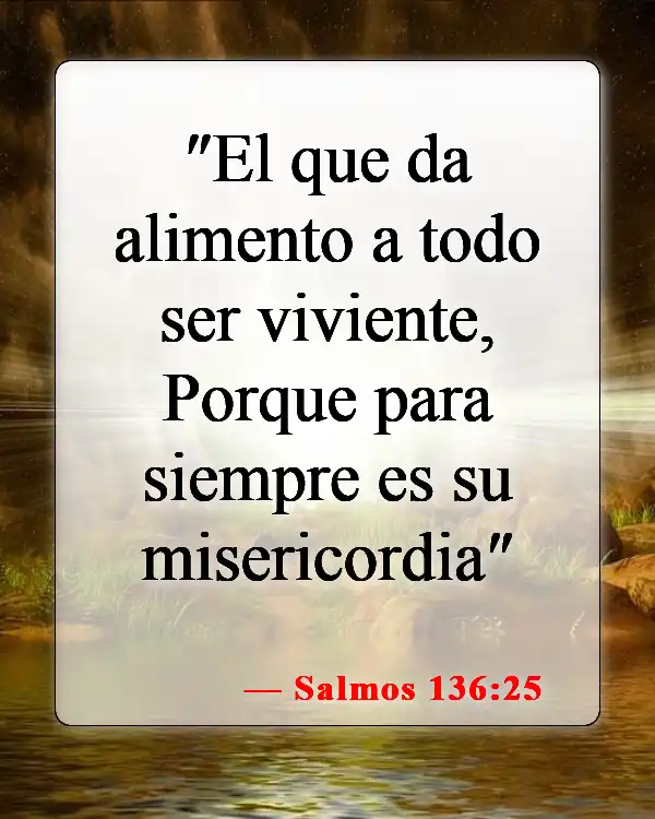 Versículos de la Biblia sobre bendecir los alimentos (Salmos 136:25)