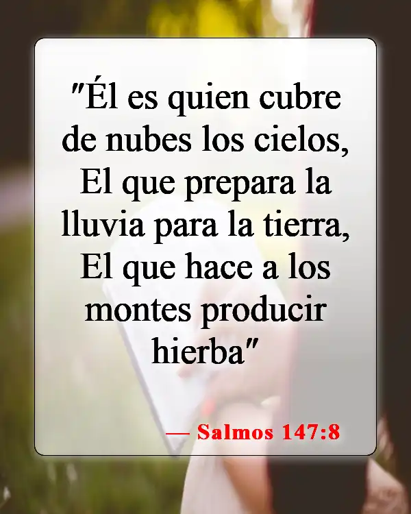 Versículos de la Biblia sobre la belleza de la Tierra (Salmos 147:8)