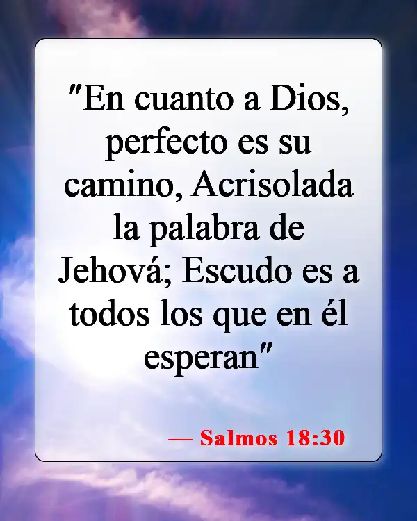 Versículos de la Biblia sobre el carácter de Dios (Salmos 18:30)