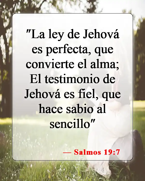 Versículos de la Biblia sobre la inspiración divina (Salmos 19:7)