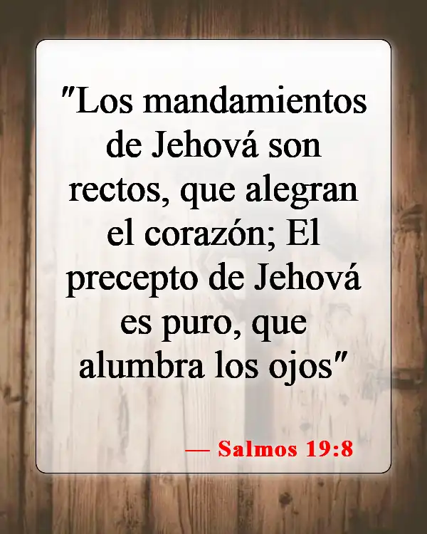 Versículos de la Biblia sobre la felicidad (Salmos 19:8)