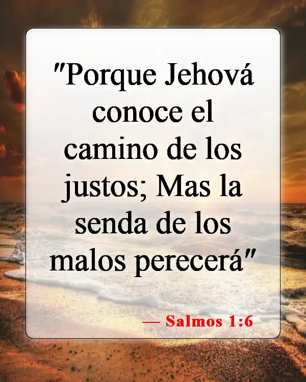 Versículos de la Biblia sobre los malhechores (Salmos 1:6)