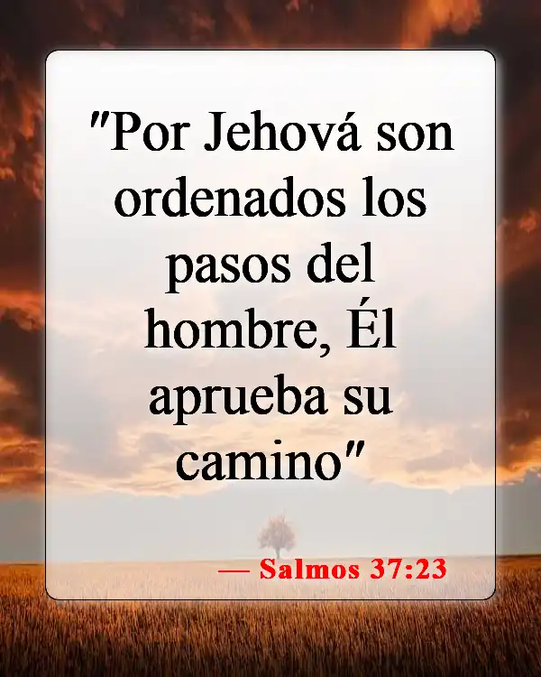 Versículos bíblicos sobre seguir a Dios (Salmos 37:23)