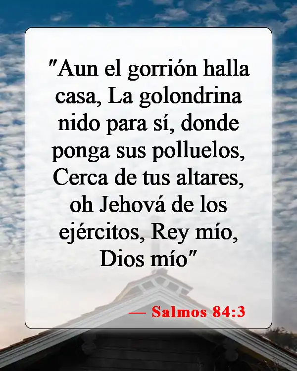 Versículos de la Biblia sobre el cuidado de los animales (Salmos 84:3)
