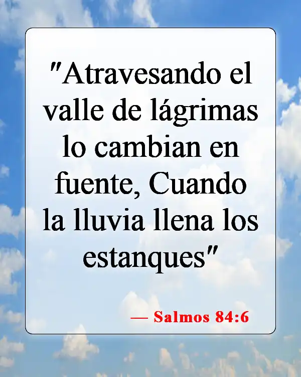 Versículos de la Biblia sobre bendiciones y maldiciones (Salmos 84:6)