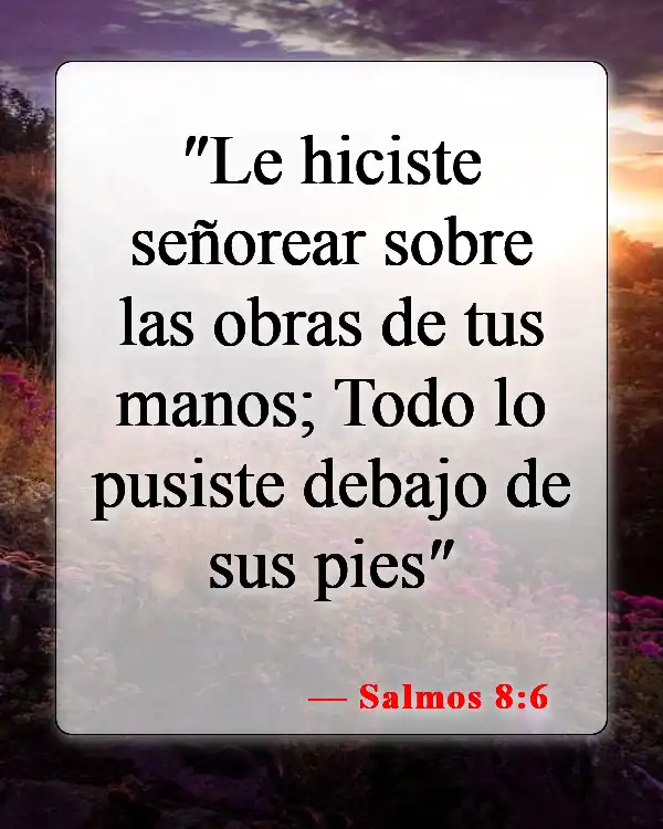 Versículos bíblicos sobre la mano de Dios (Salmos 8:6)