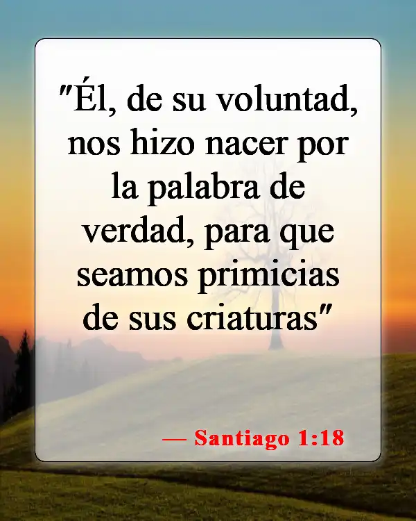 Versículos de la Biblia sobre los hijos de Dios (Santiago 1:18)