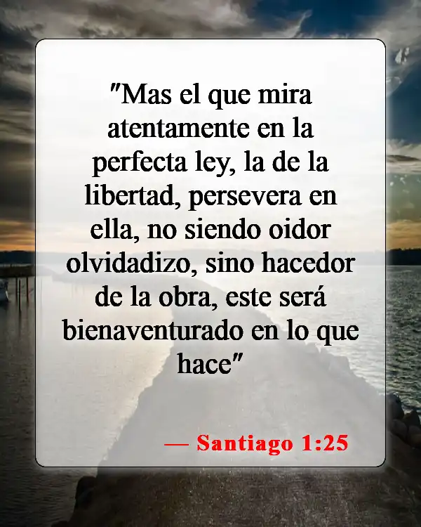 Versículos de la Biblia sobre seguir instrucciones (Santiago 1:25)