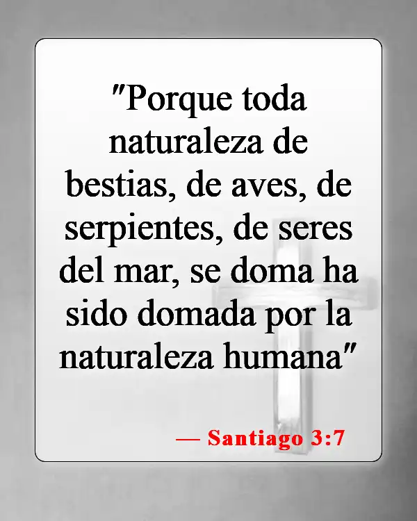 Versículos de la Biblia sobre la crueldad hacia los animales (Santiago 3:7)