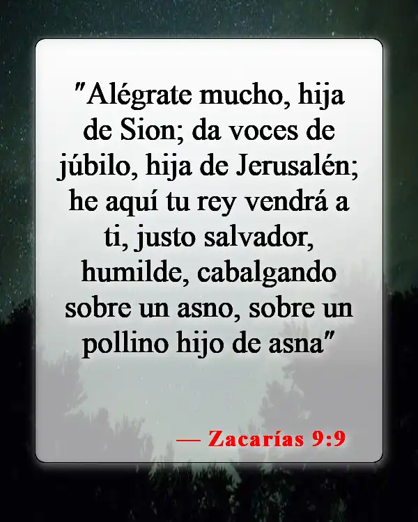 Versículos de la Biblia sobre celebrar la vida (Zacarías 9:9)