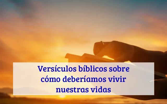 Versículos bíblicos sobre cómo deberíamos vivir nuestras vidas