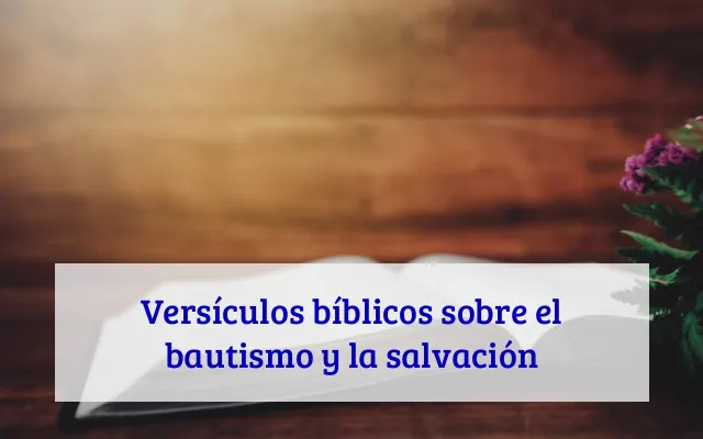 Versículos bíblicos sobre el bautismo y la salvación