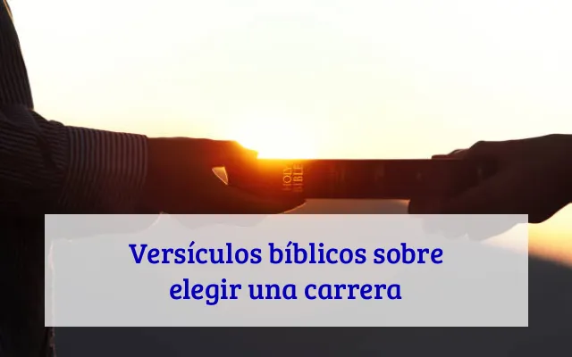 Versículos bíblicos sobre elegir una carrera
