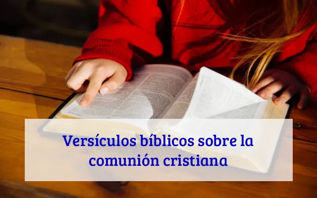 Versículos bíblicos sobre la comunión cristiana