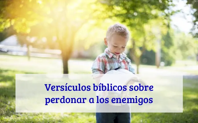 Versículos bíblicos sobre perdonar a los enemigos