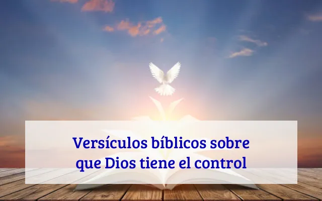 Versículos bíblicos sobre que Dios tiene el control