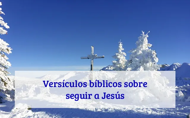 Versículos bíblicos sobre seguir a Jesús
