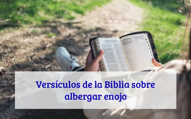 Versículos de la Biblia sobre albergar enojo