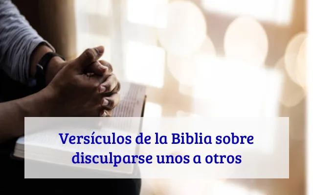 Versículos de la Biblia sobre disculparse unos a otros