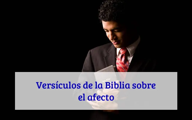Versículos de la Biblia sobre el afecto
