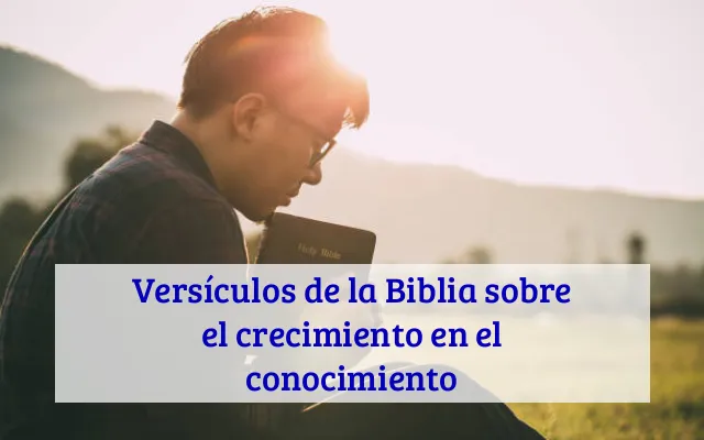 Versículos de la Biblia sobre el crecimiento en el conocimiento