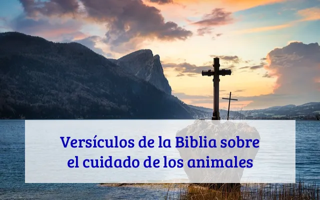 Versículos de la Biblia sobre el cuidado de los animales