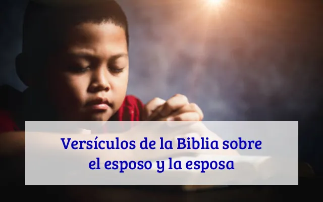 Versículos de la Biblia sobre el esposo y la esposa