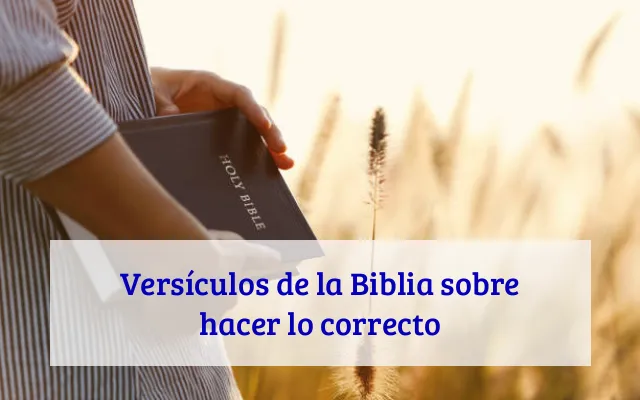 Versículos de la Biblia sobre hacer lo correcto