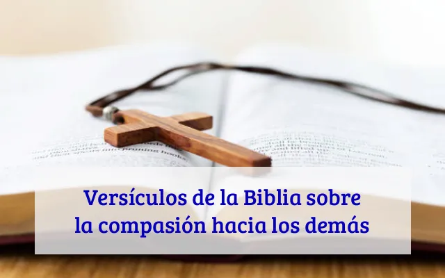 Versículos de la Biblia sobre la compasión hacia los demás