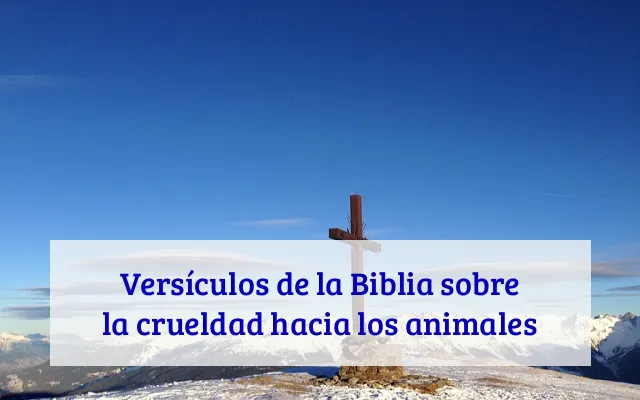 Versículos de la Biblia sobre la crueldad hacia los animales