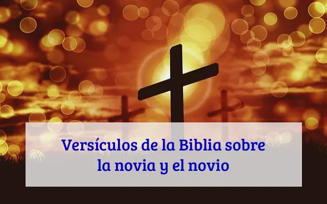 Versículos de la Biblia sobre la novia y el novio