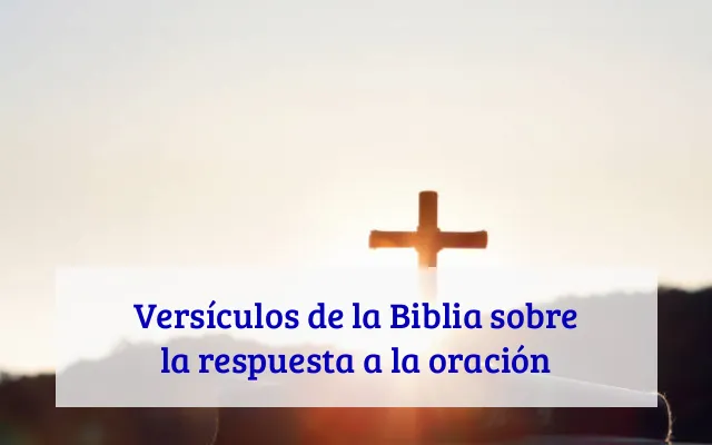 Versículos de la Biblia sobre la respuesta a la oración